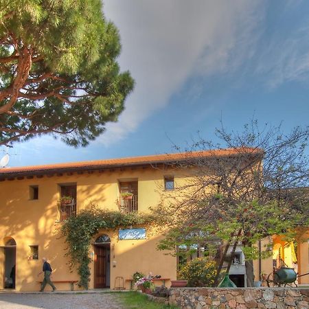 Agriturismo Ca' Di Trincia Пьетра-Лигуре Экстерьер фото